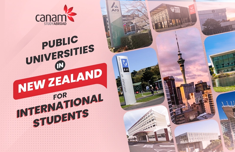 Public Universities in New Zealand for International Students