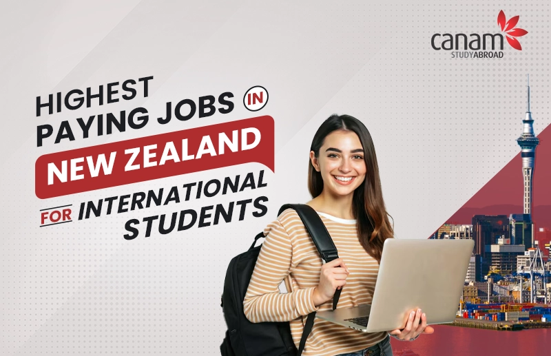 Highest Paying Jobs in New Zealand for International Students